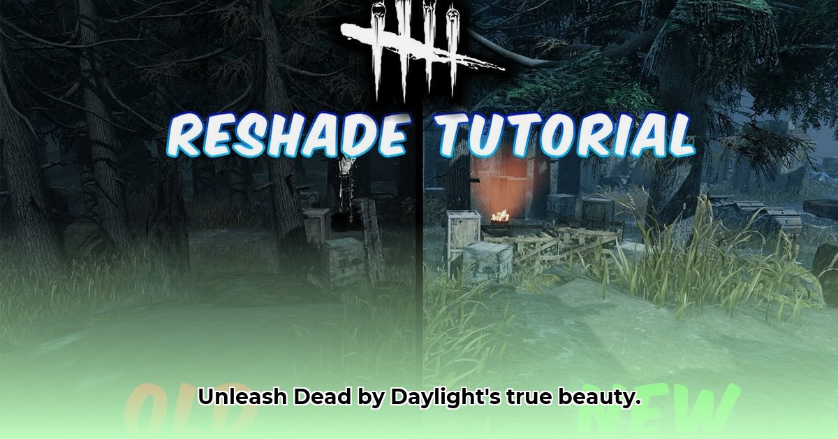 dbd-reshade-presets-download